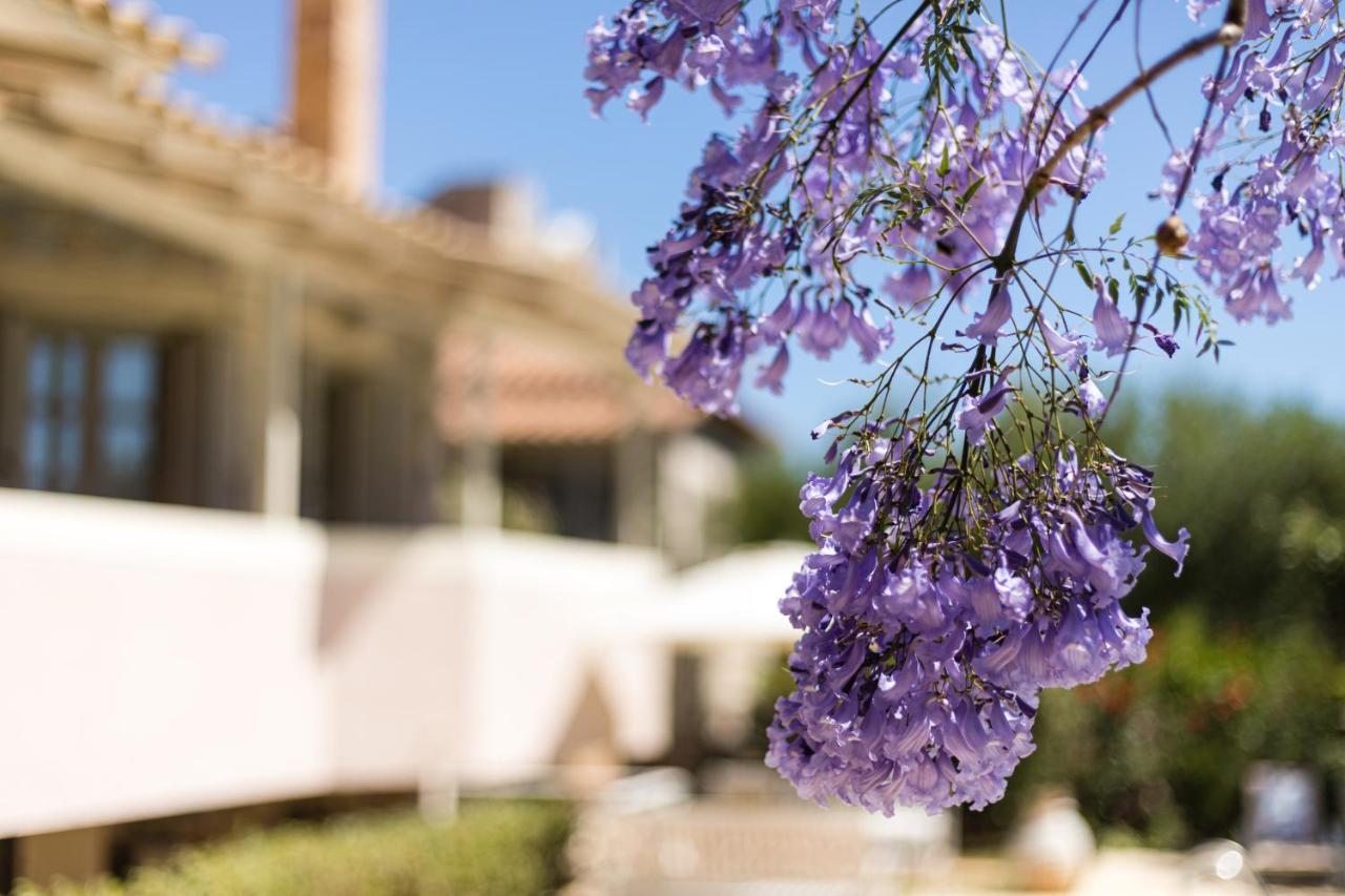 Tria Luxury Residences Stoúpa Dış mekan fotoğraf